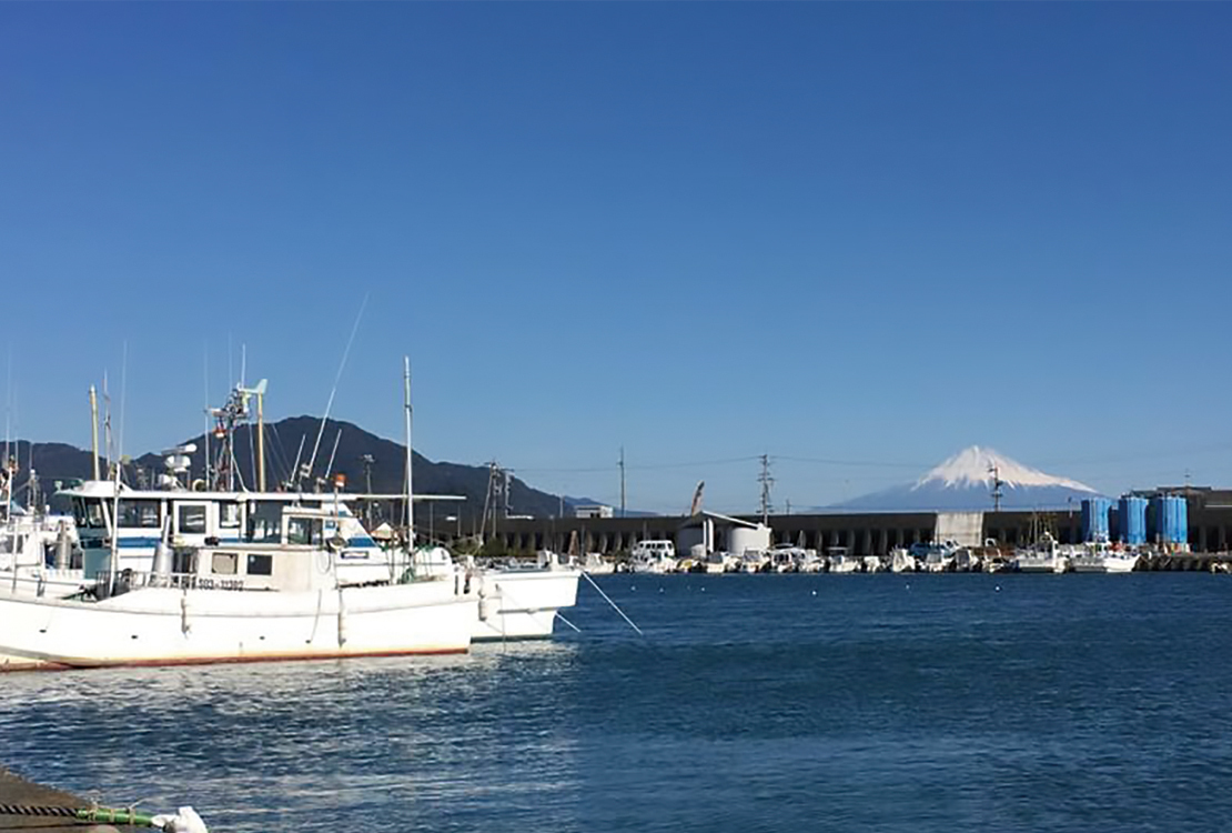 海の恵みいっぱいのごちそうを港町 焼津からお届け！