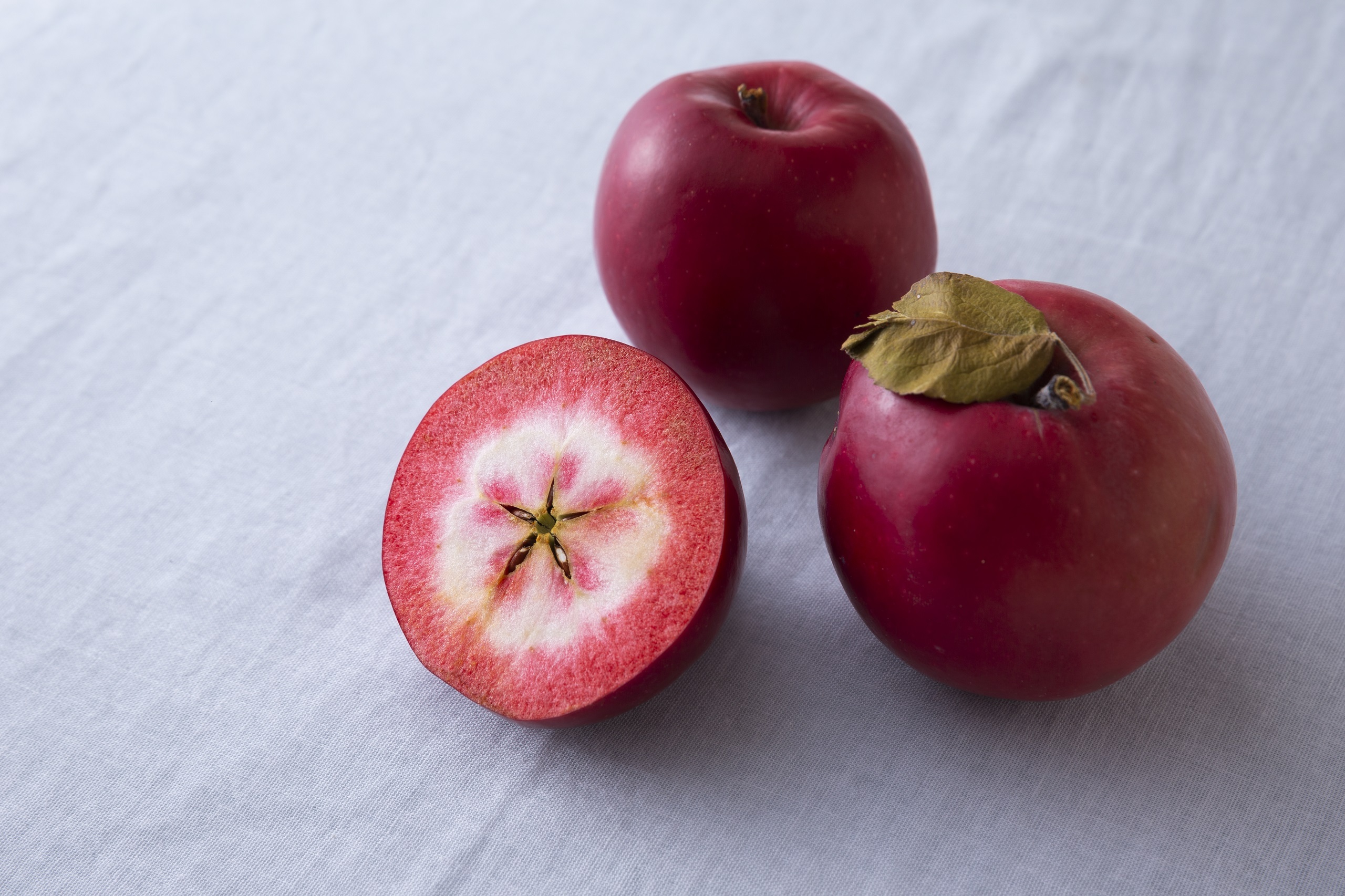 すっぱい林檎の専門店