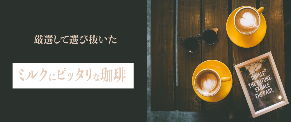 良いコーヒー通販 珈琲専科