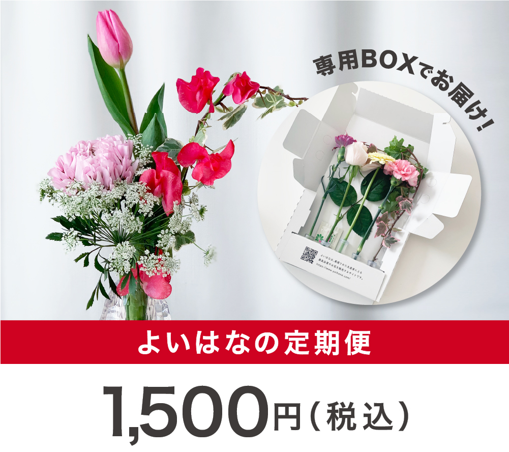 よいはなの定期便 生産者おすすめのお花を ご自宅にお届け よいはな Yoihana 最高品質のお花をお届けするネット通販