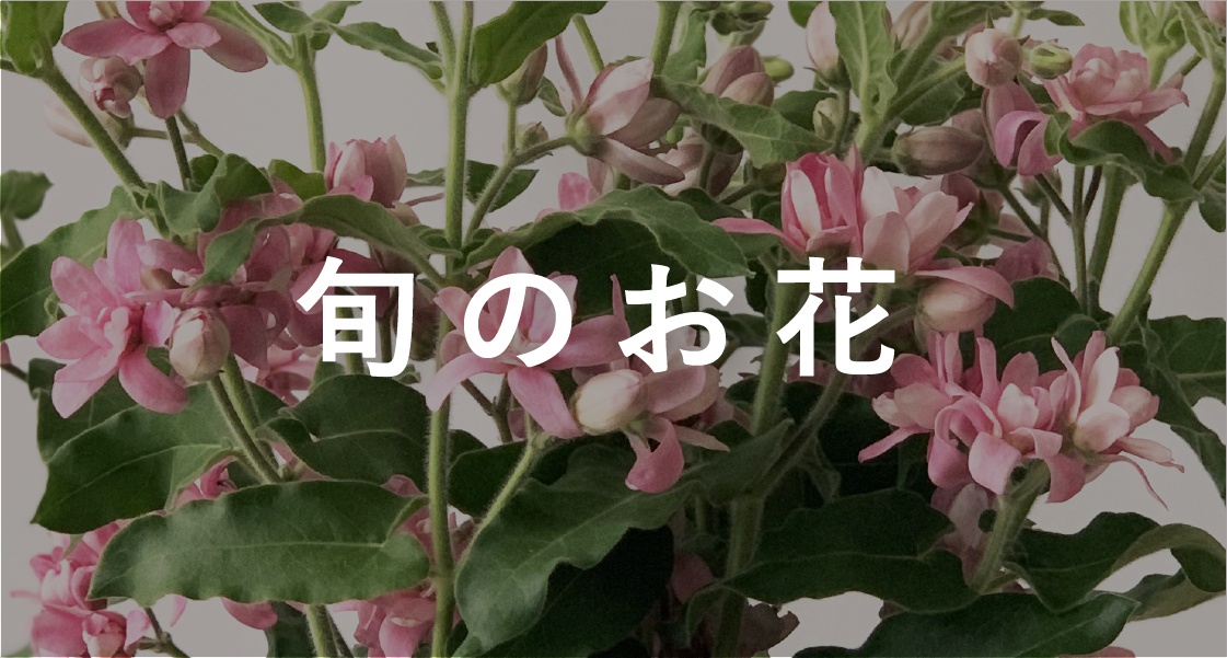 よいはな Yoihana 最高品質のお花をお届けするネット通販