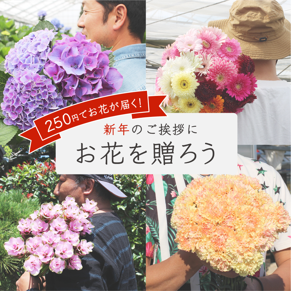 よいはな Yoihana 最高品質のお花をお届けするネット通販