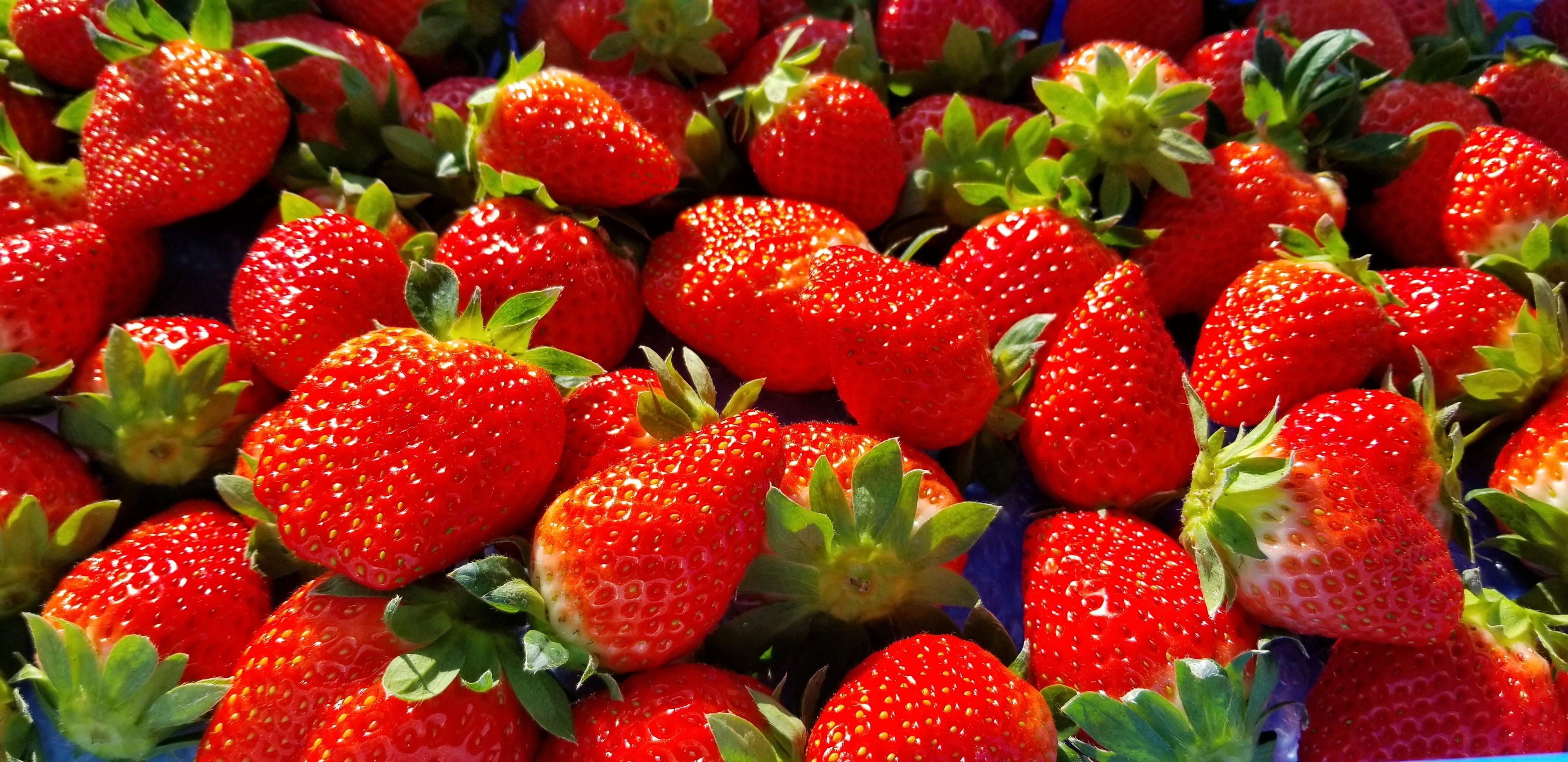 らいおん果実園