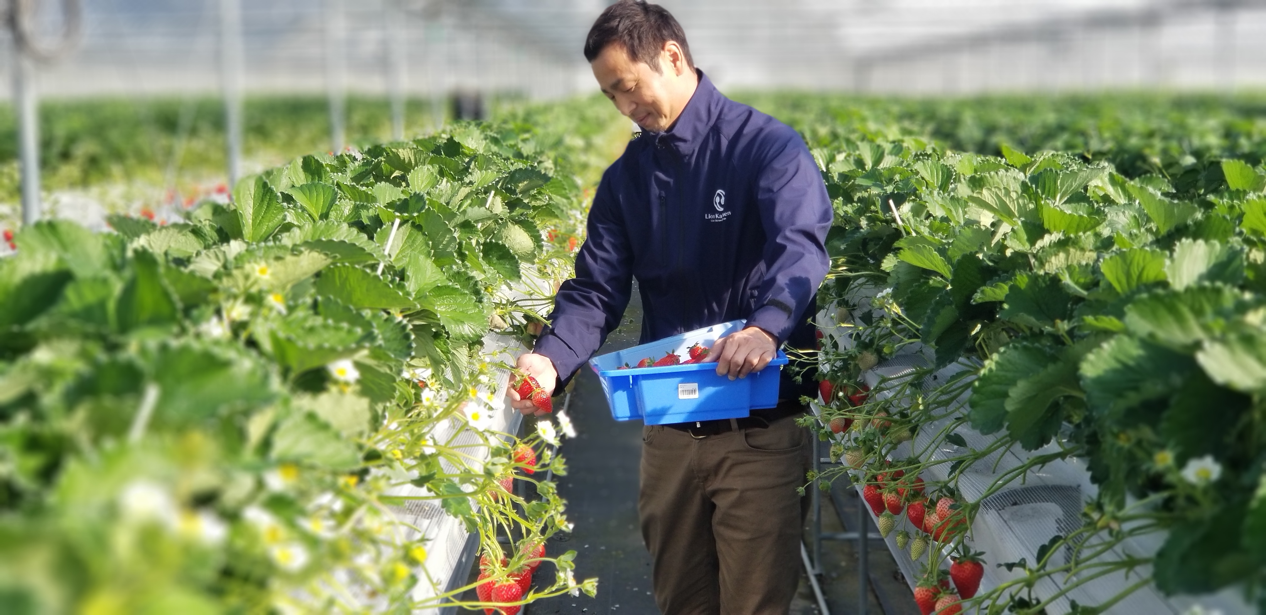 らいおん果実園