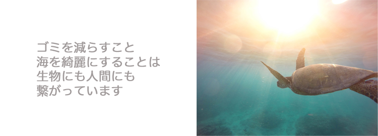 右側写真　
キラキラとオレンジピンク色の　
サンセットの光が差し込む
ブルーグリーンの海の中を　
優雅に泳ぐウミガメ

左側メッセージ
背景色　ホワイト　
文字　グレー
「ゴミを減らすこと　
海を綺麗にすることは　
生物にも人間にも　
繋がっています」