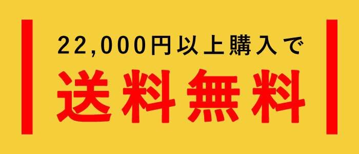 22,000円で送料無料