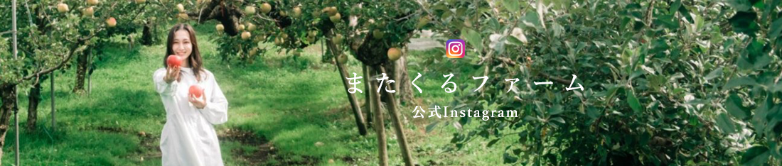 バナー