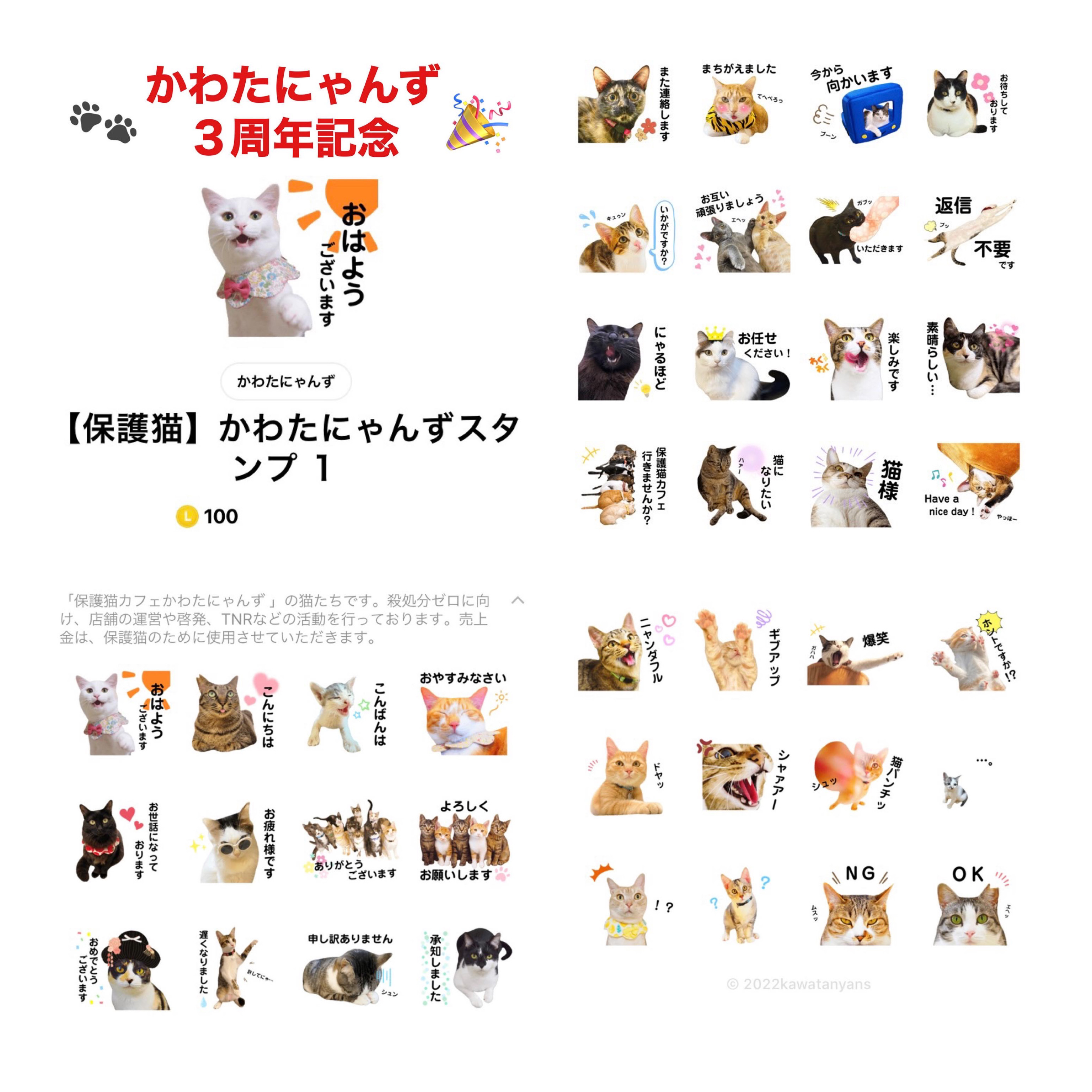 保護猫カフェ かわたにゃんず