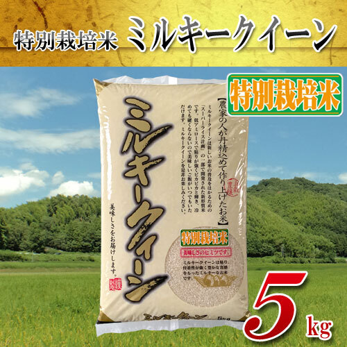 特別栽培米ミルキークイーン(精白米) 5kg