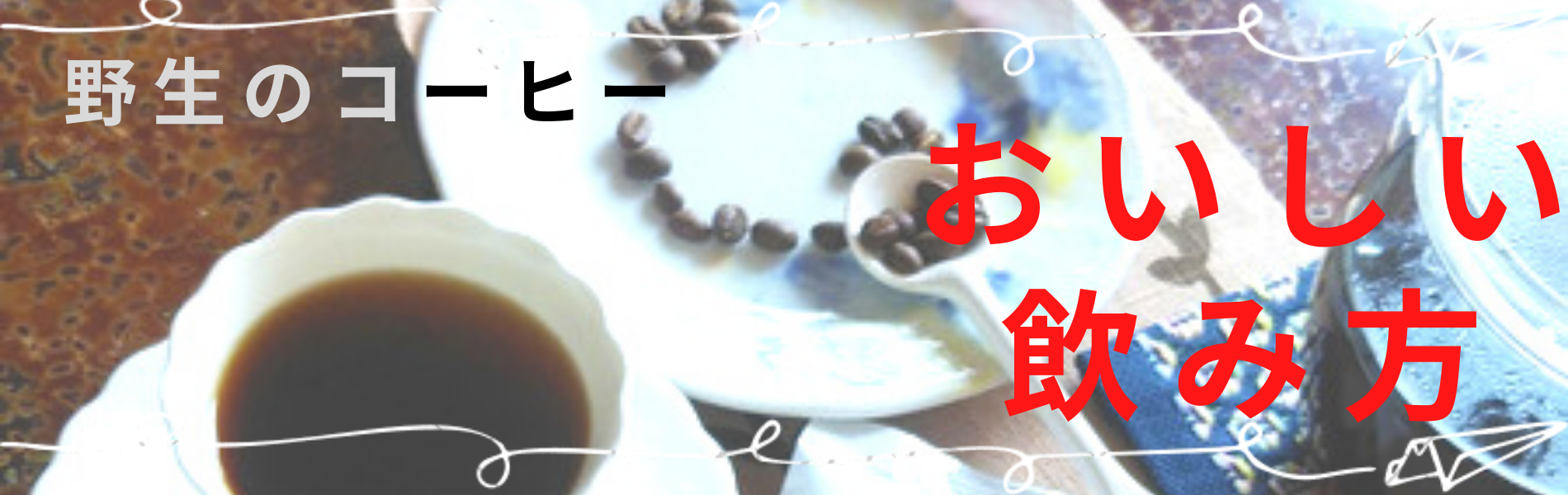 野生のコーヒーくまじまみのり