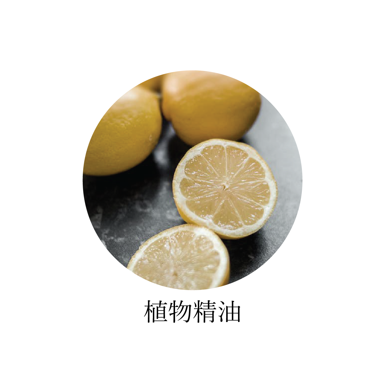 PRODUCTS | MONADET