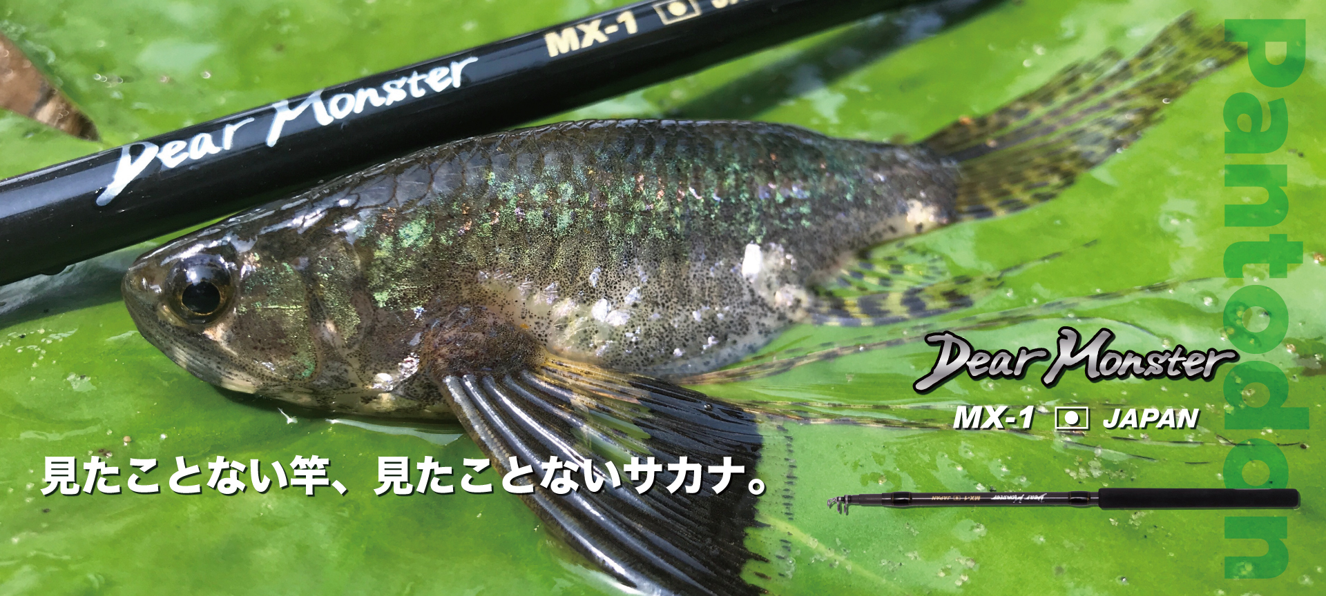 Dear Monster MX-1 - Monster Kiss モンスターキス
