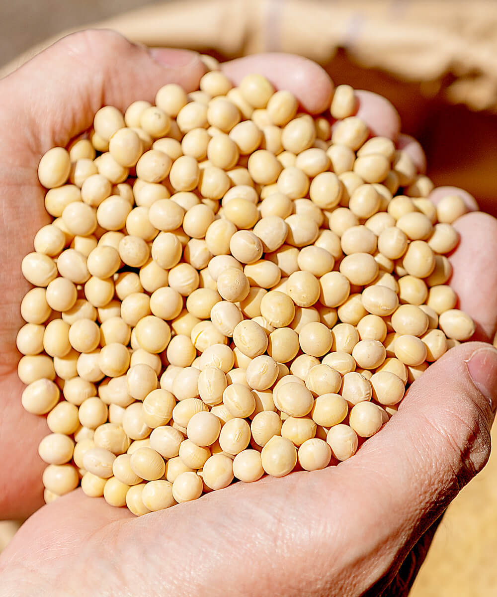 「豆」へのこだわり