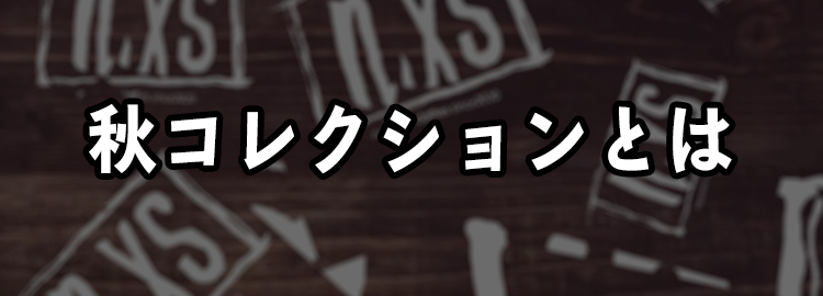 秋コレクション登場！
