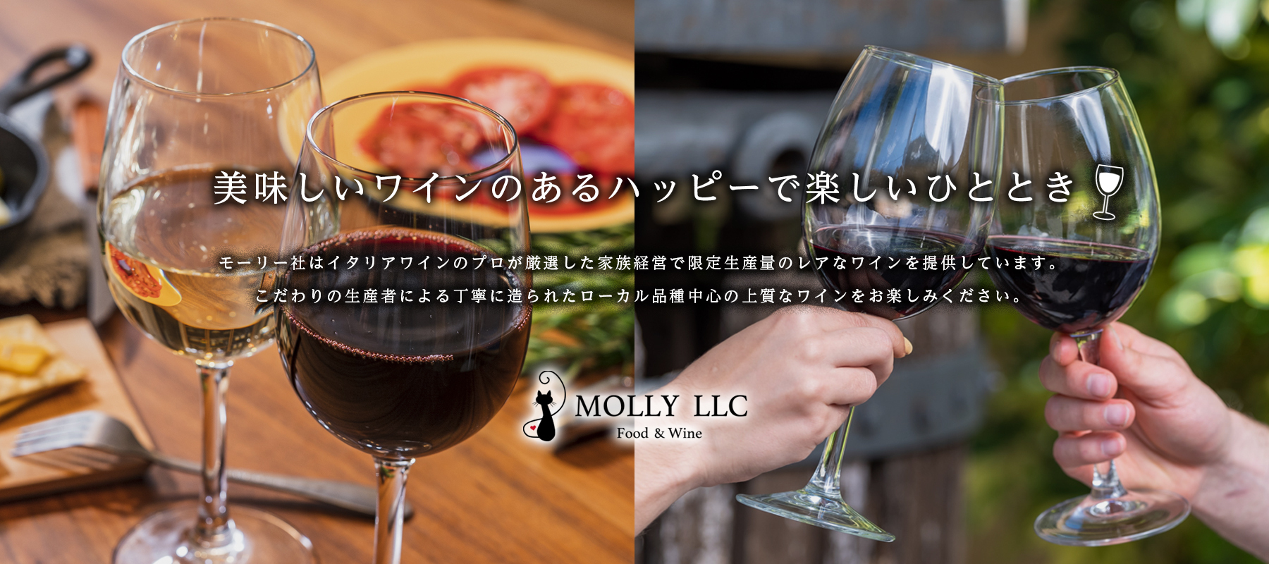 MOLLY  LLC