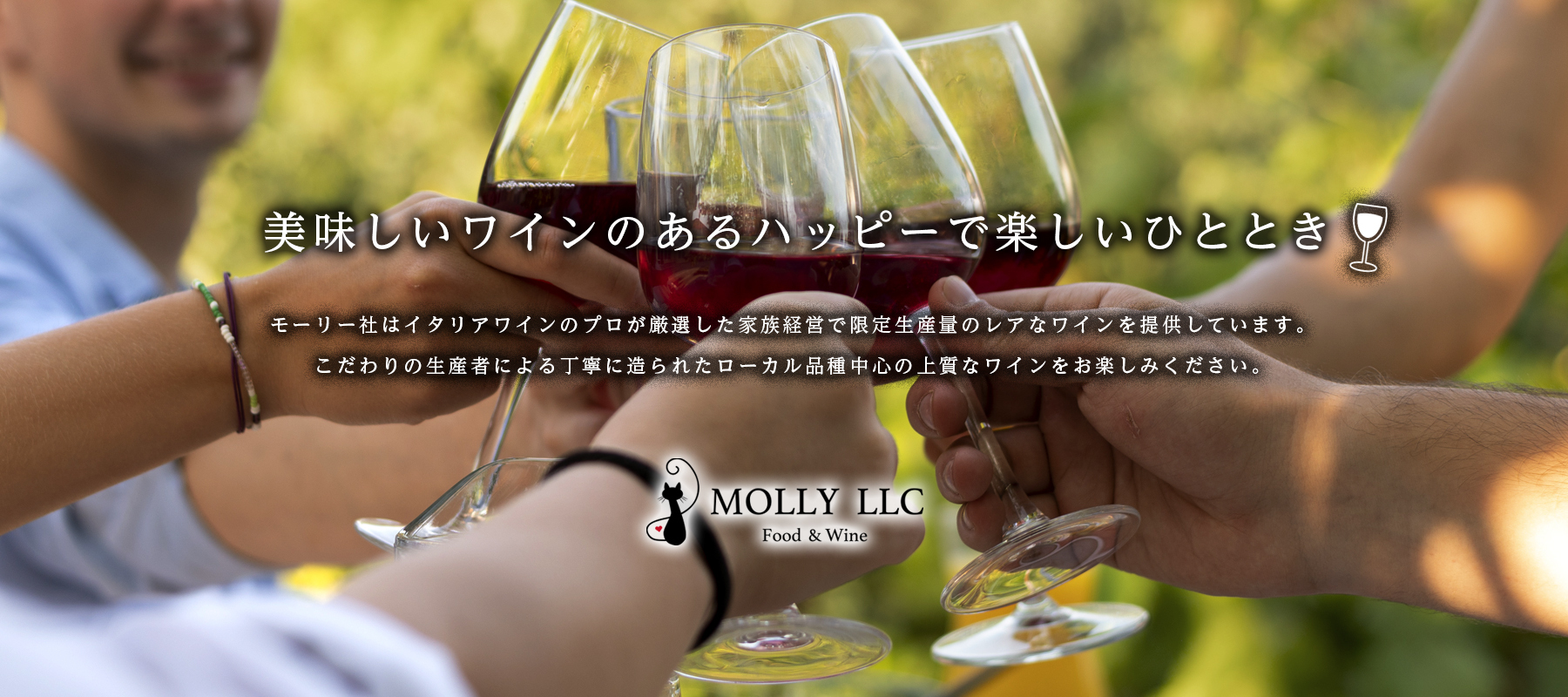MOLLY  LLC