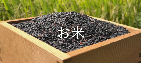 栃木県小山市産 ハトムギ入り三昧500g＋令和6年度黒米 500g
