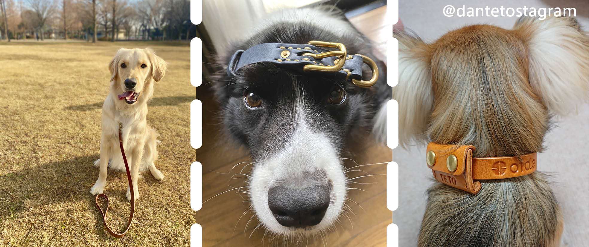 Oide いぬの道具 愛犬と共にいつまでも使って欲しい革で造るハンドメイドの道具たち
