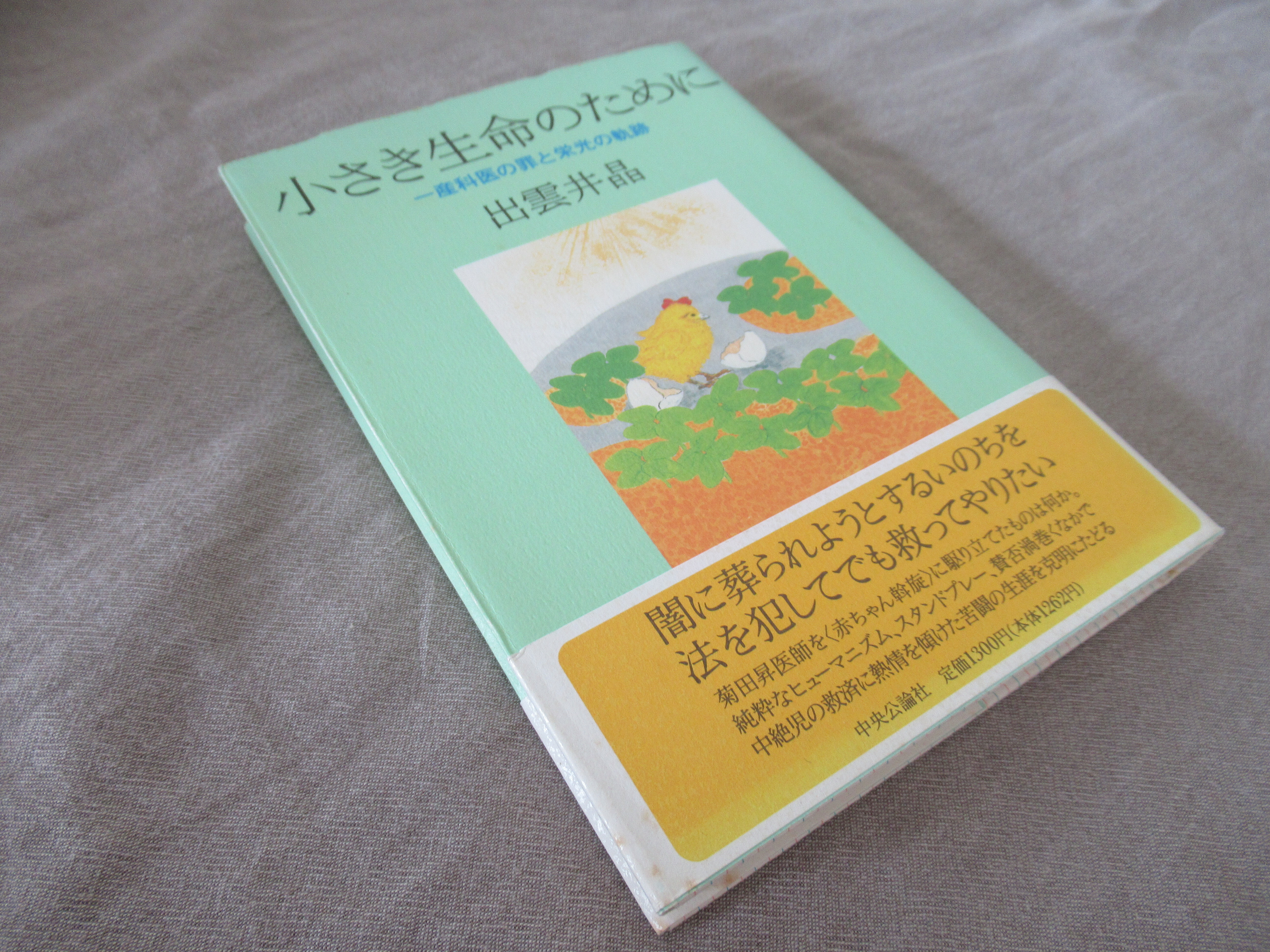 Paradisejp