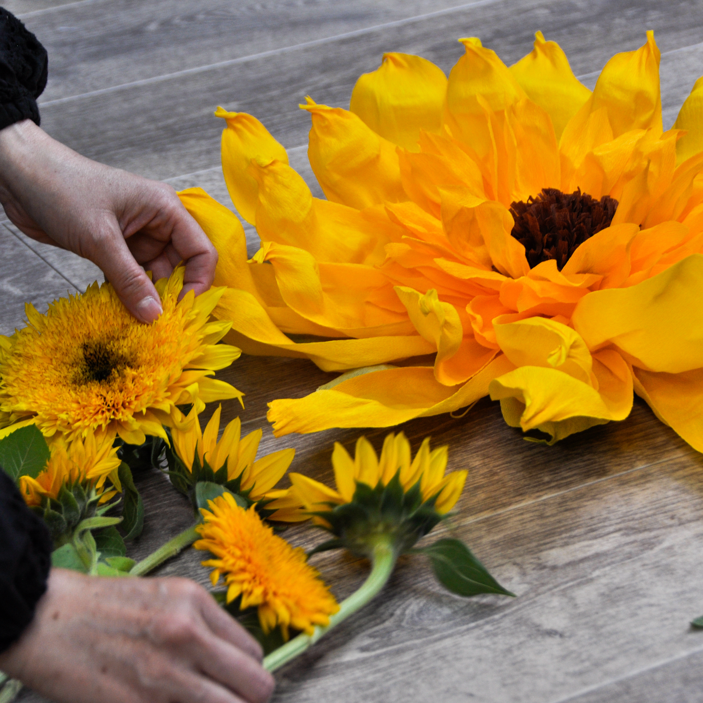 ペタルデザイン Petal Design ジャイアントフラワー専門店