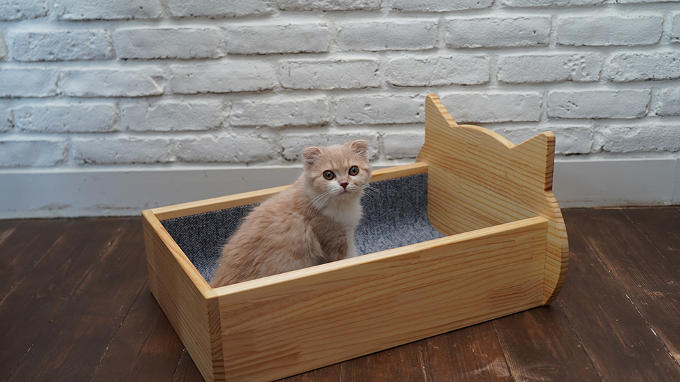 木工房 晴れる屋紹介画像2