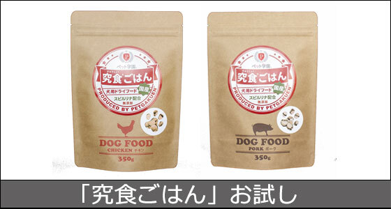 再配達有りプラン】＜定期3回＞ペット学園 究食ごはん＜乳酸菌