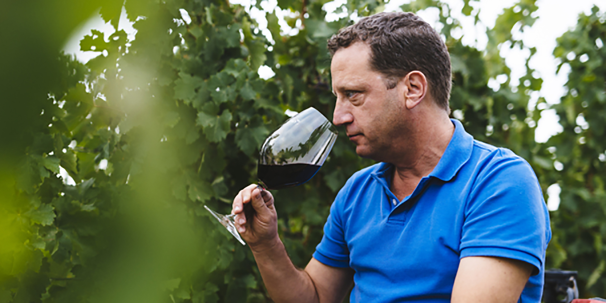 最先端の栽培技術と伝統的な醸造手法を組み合わせることで高品質なワインを次々と生み出します