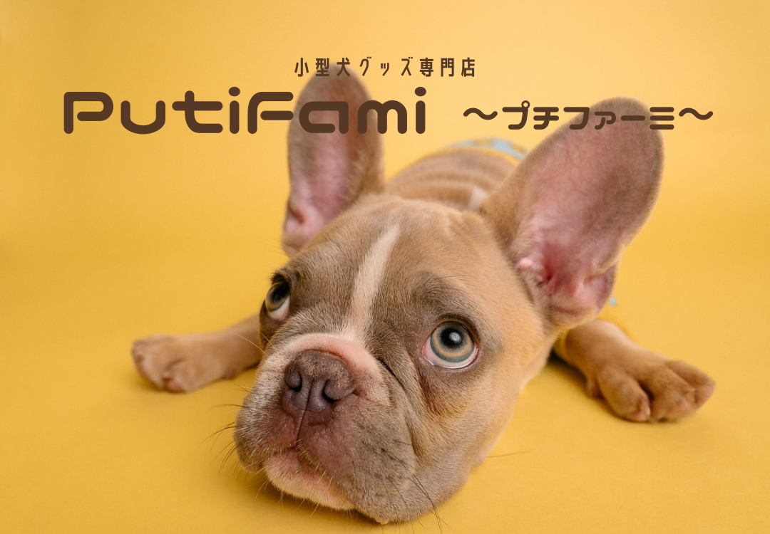 小型犬グッズ専門店 Putifami プチファーミ