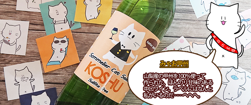 へそねこ店長のワイン屋さん