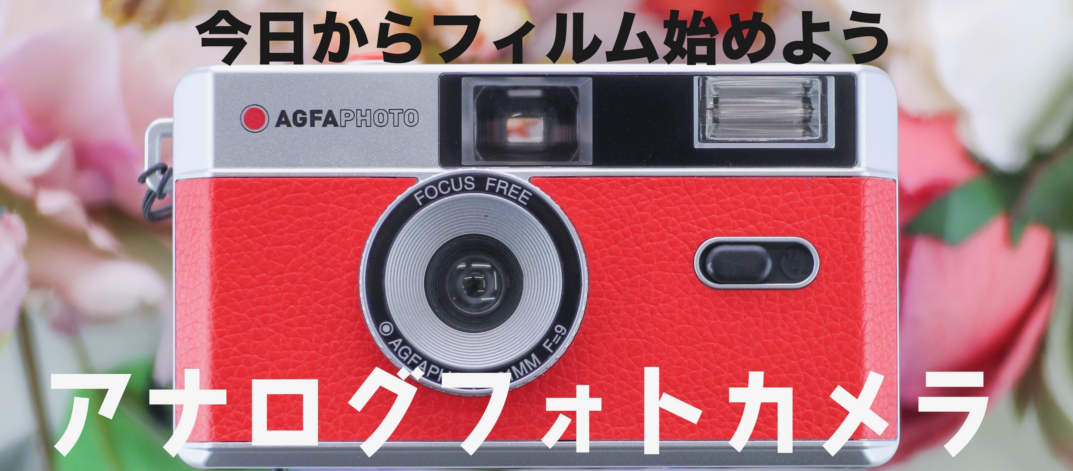フォトデポ彩色兼美 フィルムカメラ 郵送写真現像のお店