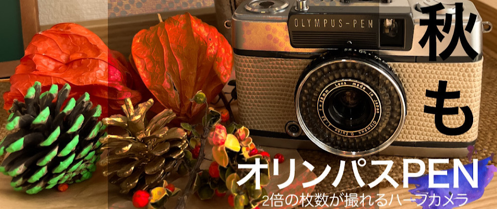 レトロかわいいハーフフィルムカメラ 本気で選んだオススメtop5 カメラオトメ