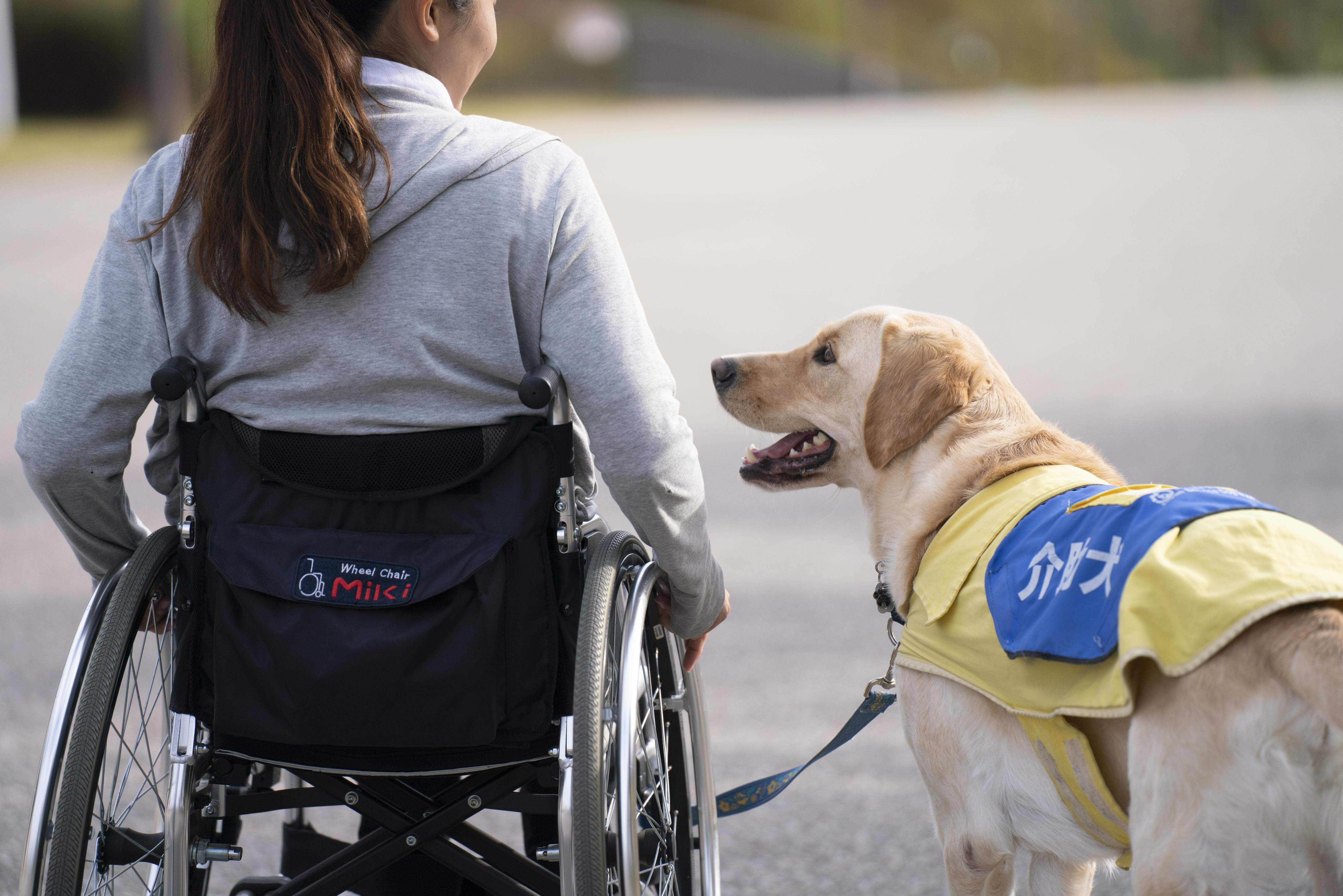 社福 日本介助犬協会チャリティグッズショップ