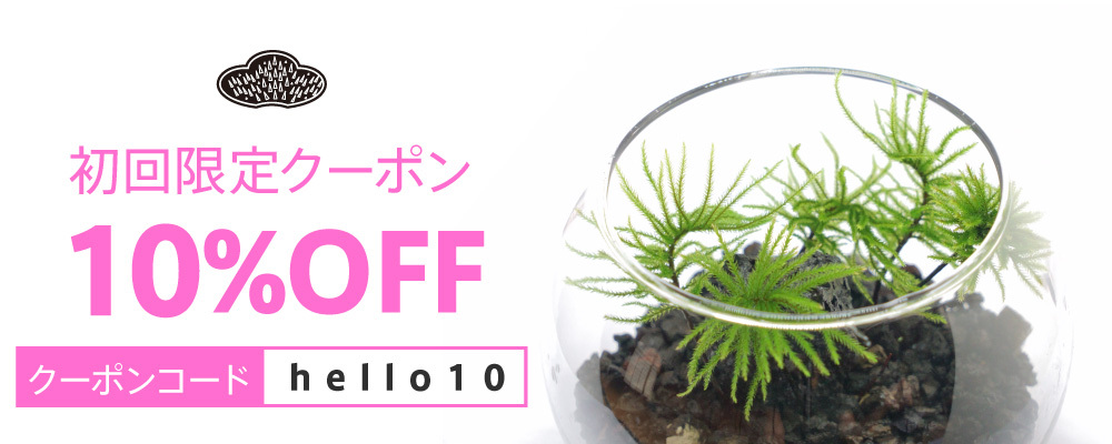 苔栽培とネット販売の西予苔園 せいよこけえん のオンラインショップ