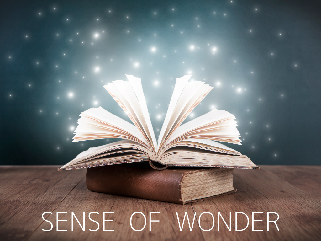 SENSE OF WONDER
