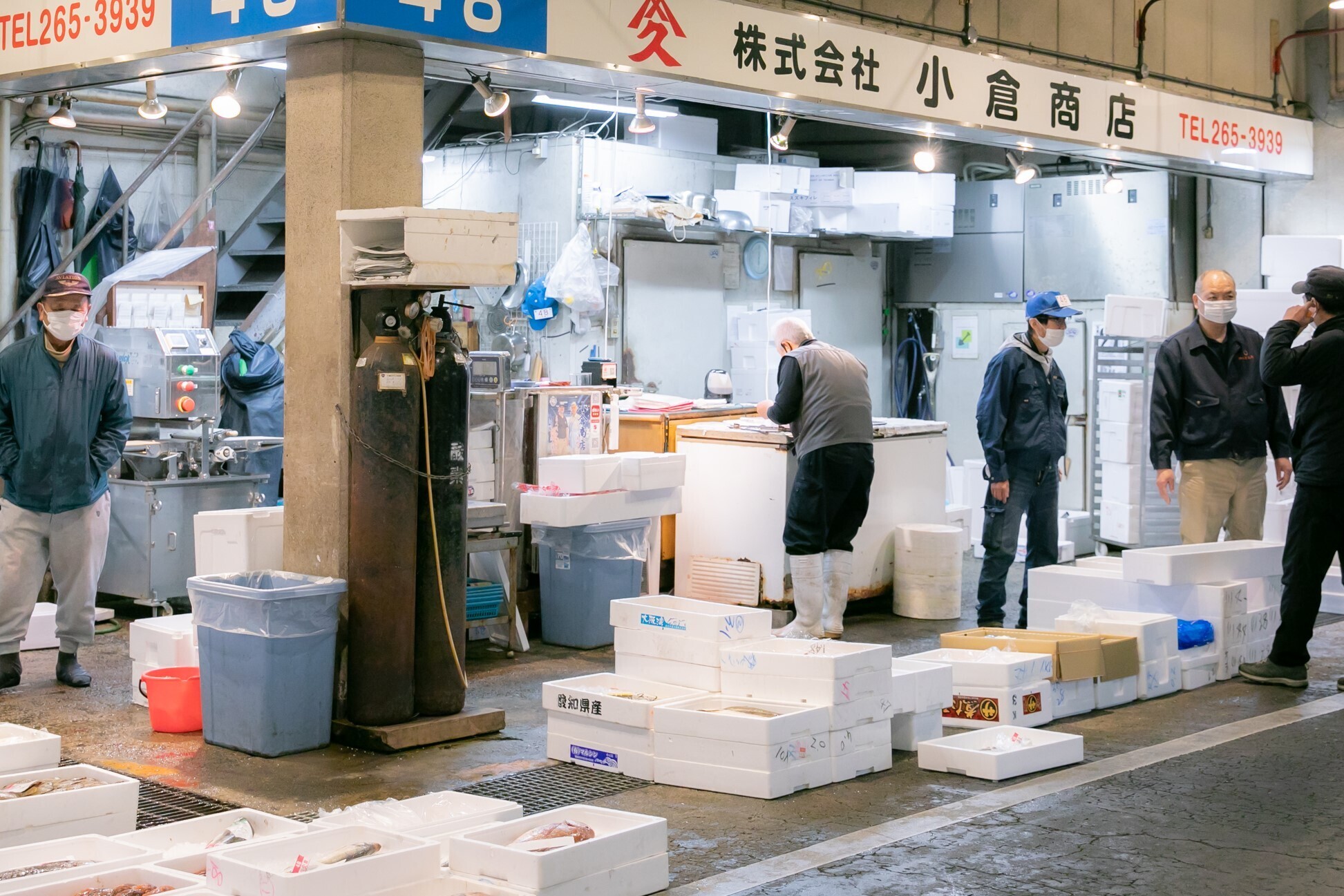 <center><mark>瀬戸内の美味しいお魚をみなさまに</mark></center>