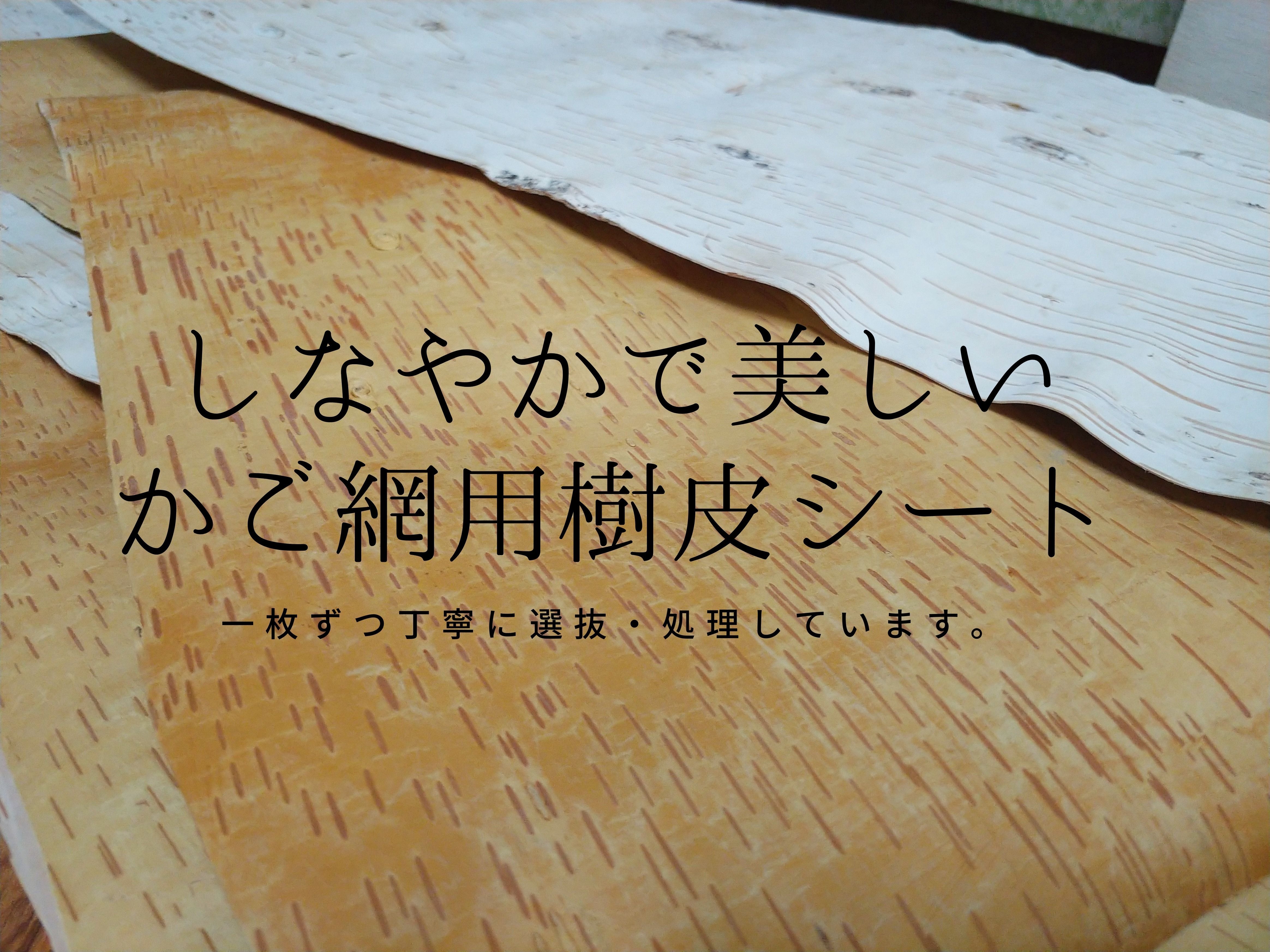 Shizenka 白樺樹皮と枝 丸太の通販