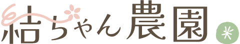 バナー