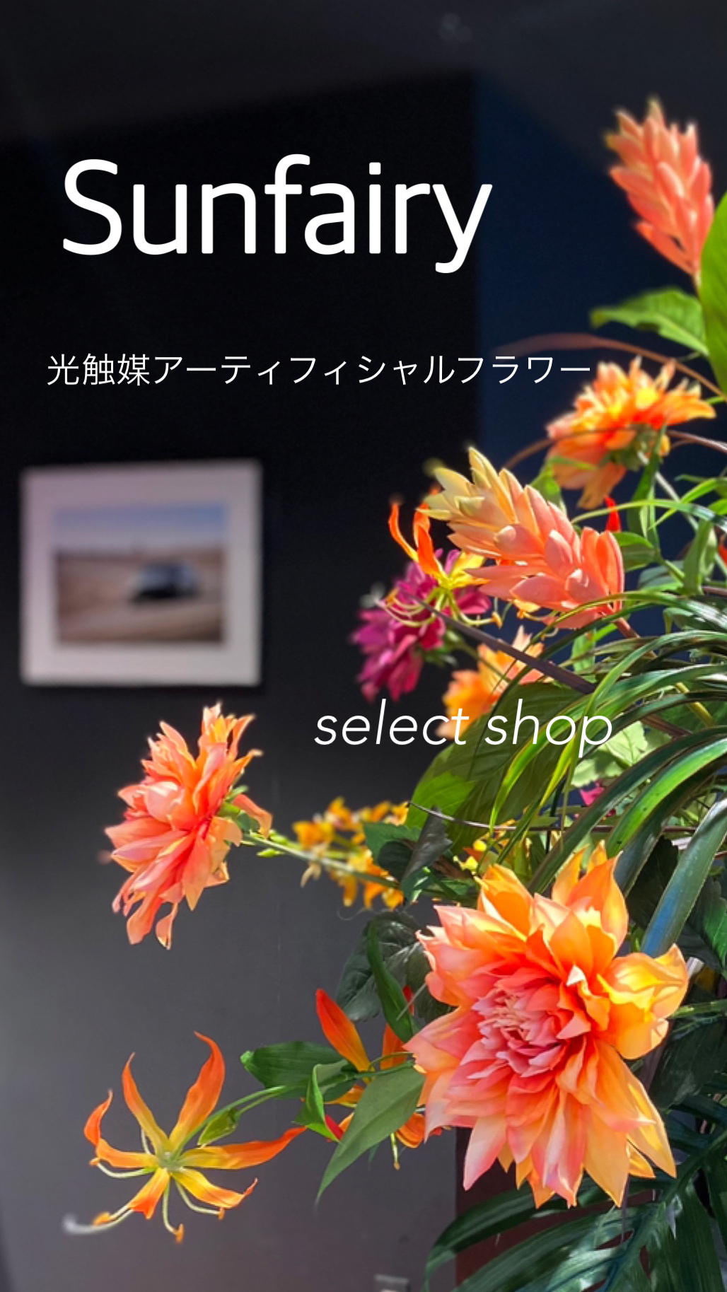 Sunfairy サンフェアリー