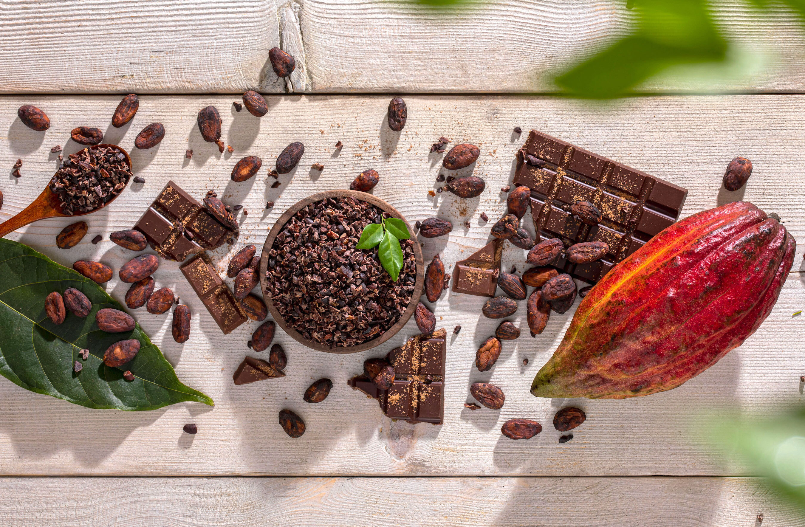 BINON CACAOはベトナムのカカオ農園でのカカオの栽培からチョコレートを作っています。