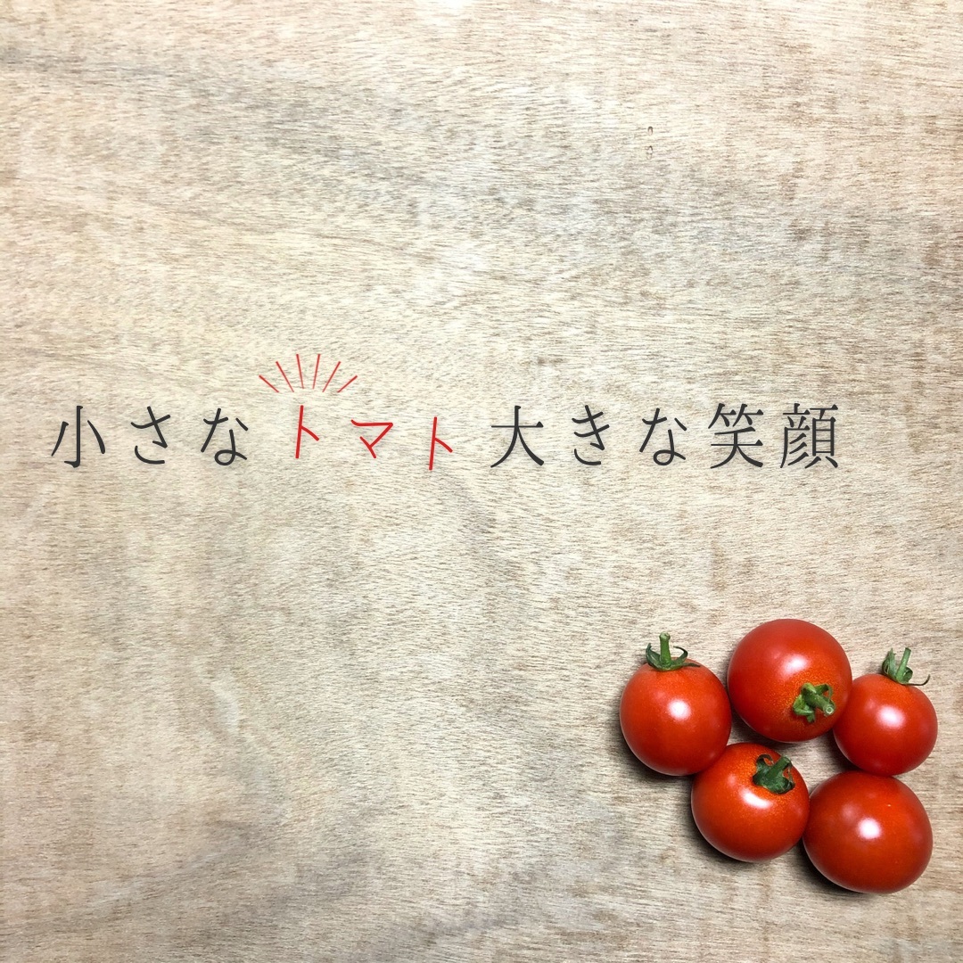 TAKA FARM