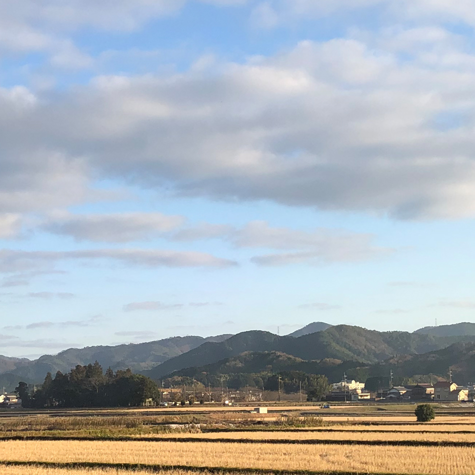 ABOUT 丹波ろじべじ