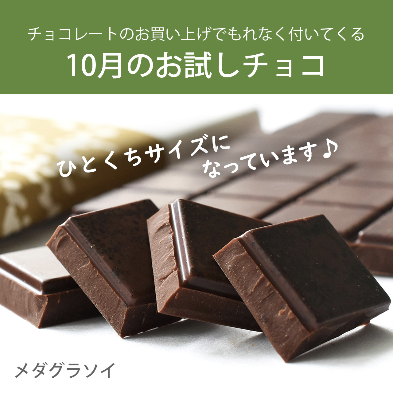 発酵エレメンツ カカオ醤 ペーストタイプ トモエサヴール