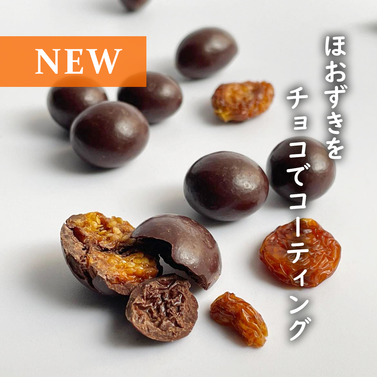 発酵エレメンツ カカオ醤 ペーストタイプ トモエサヴール 発酵エレメンツ カカオ醤 ペーストタイプ トモエサヴール