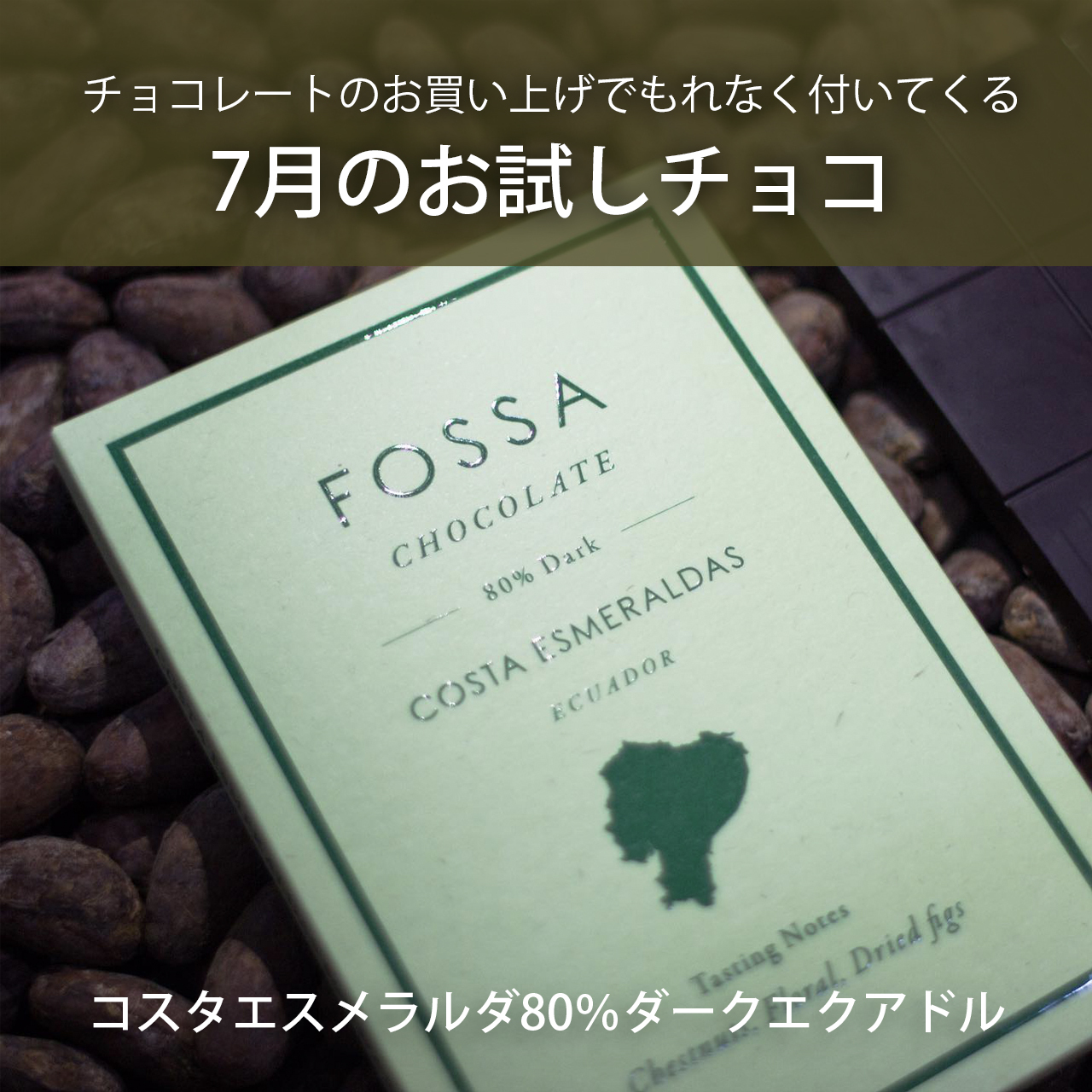 発酵エレメンツ カカオ醤 ペーストタイプ トモエサヴール