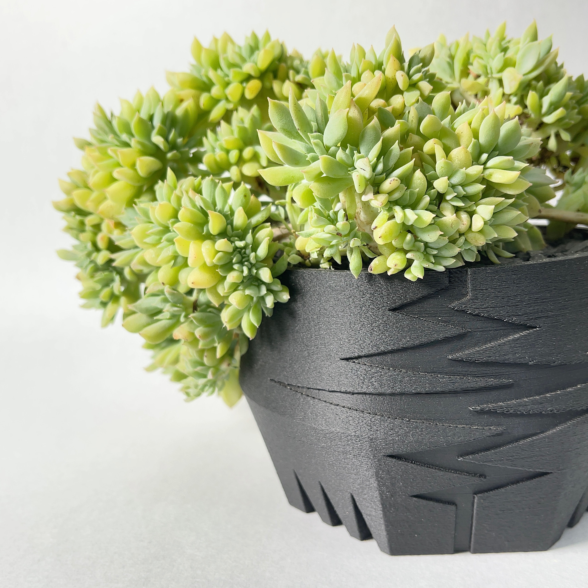 KIBOKU」botanize×Keiichi Sato 佐藤恵一 鉢 【公式通販】