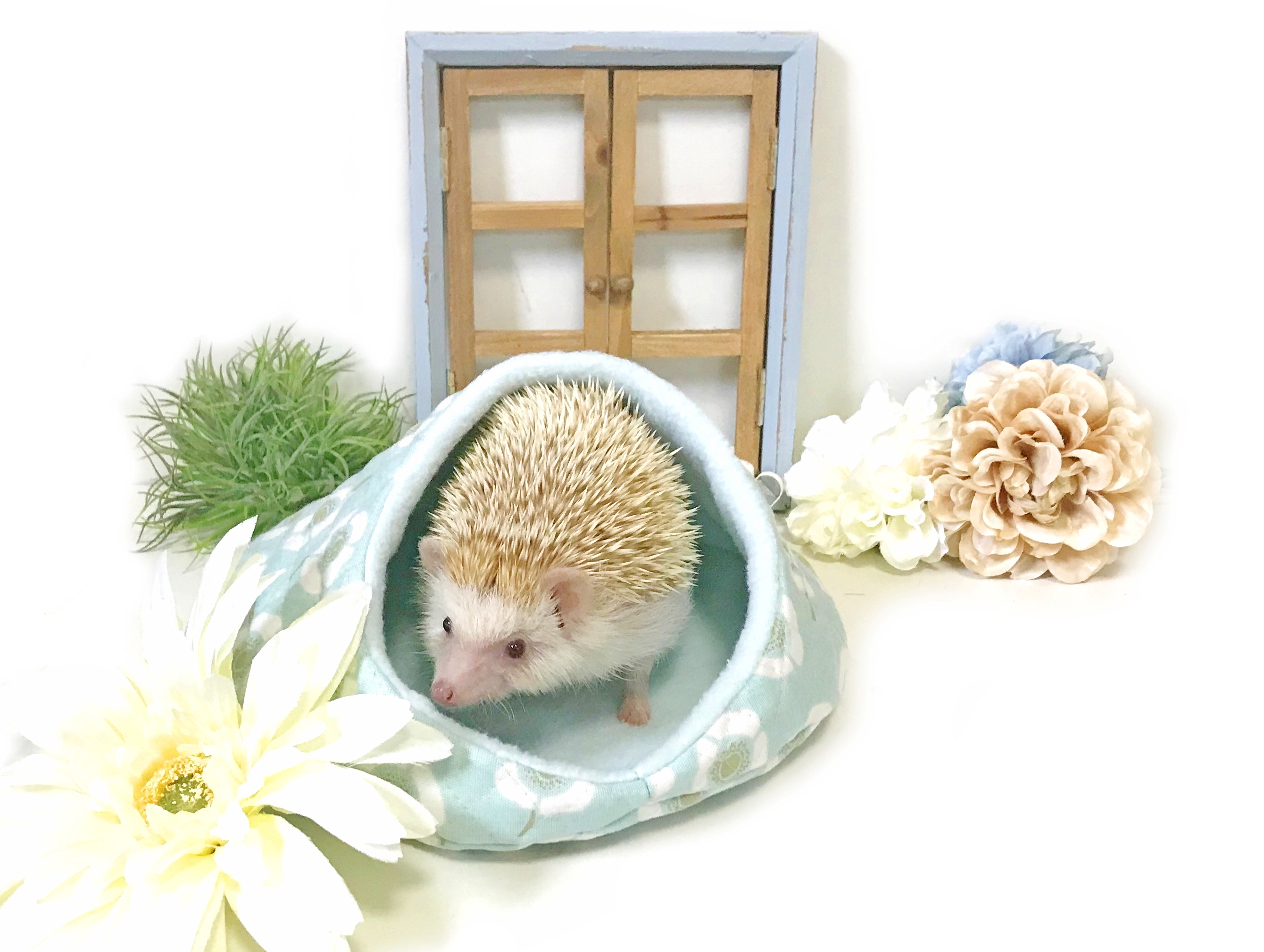 ハリネズミグッズ専門店 Unibo