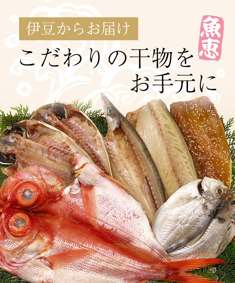 魚恵