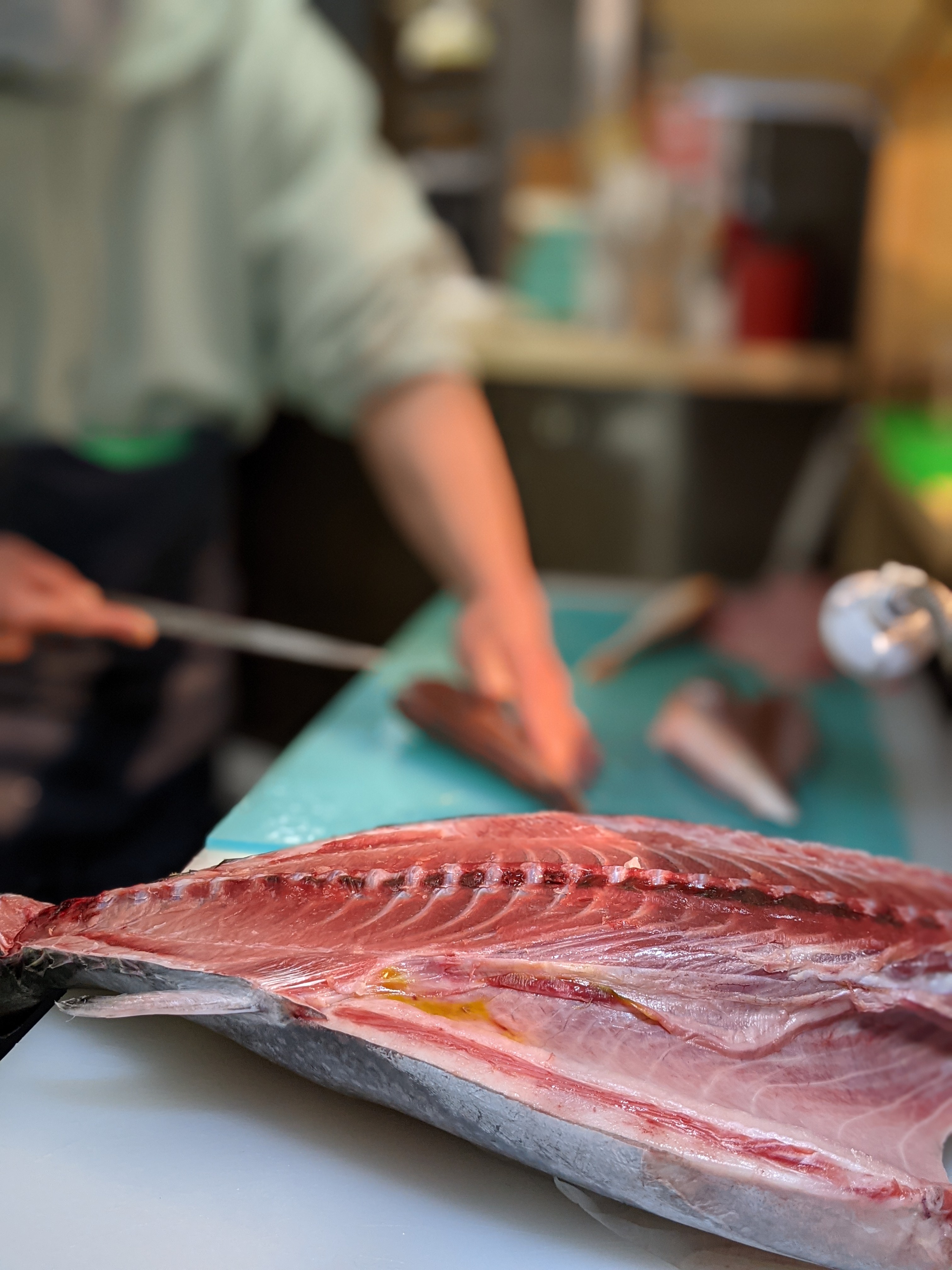 アメ横魚草 魚塚