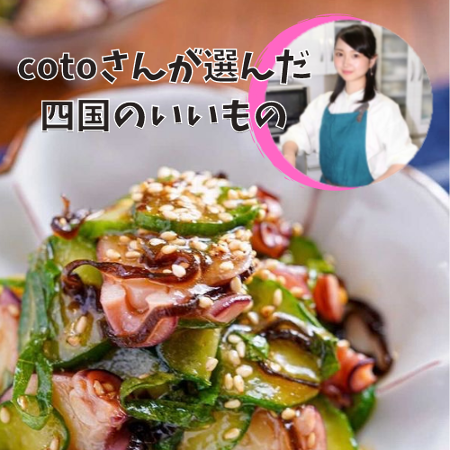 料理研究家 cotoさん