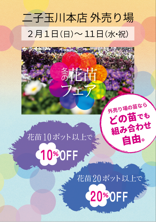 【二子玉川本店】2月のイベント情報